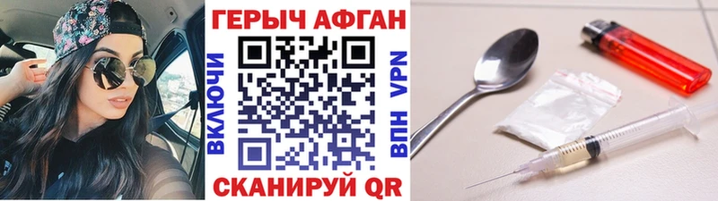 ГЕРОИН хмурый Балтийск
