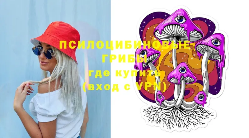 Псилоцибиновые грибы Magic Shrooms  Балтийск 