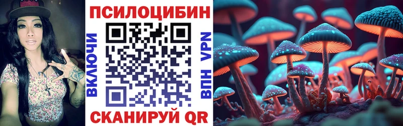 Псилоцибиновые грибы Cubensis  Балтийск 