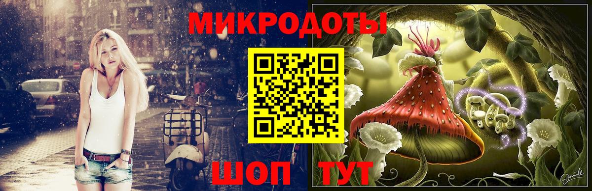 Балтийск  Псилоцибиновые грибы GOLDEN TEACHER  Вход с VPN  Псилоцибиновые грибы Magic Shrooms 