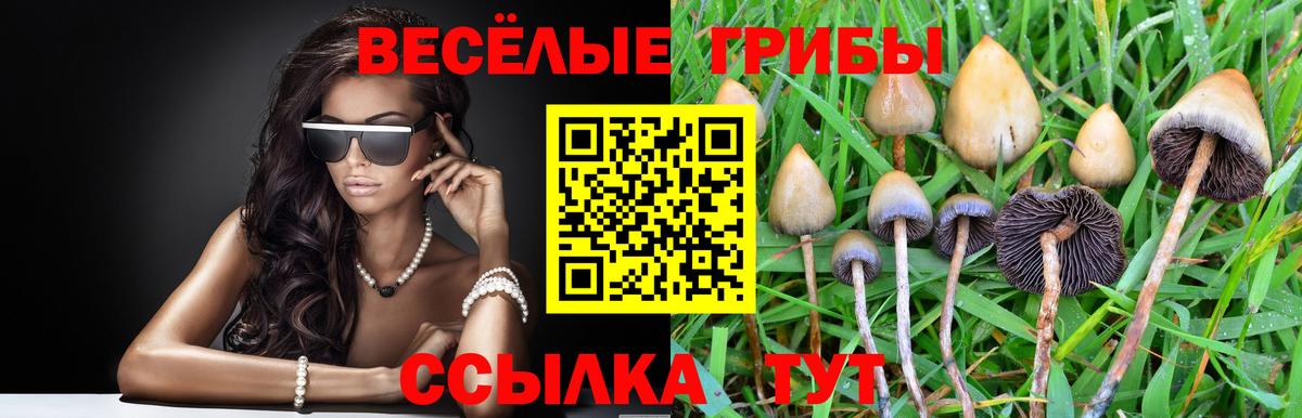Меф МЯУ МЯУ  COCAIN  Балтийск  Меф кристаллы  Вход с VPN  Каннабис  ГАШИШ 