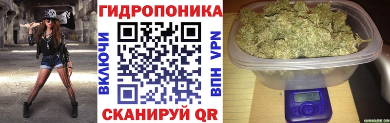 Каннабис марихуана  Балтийск 